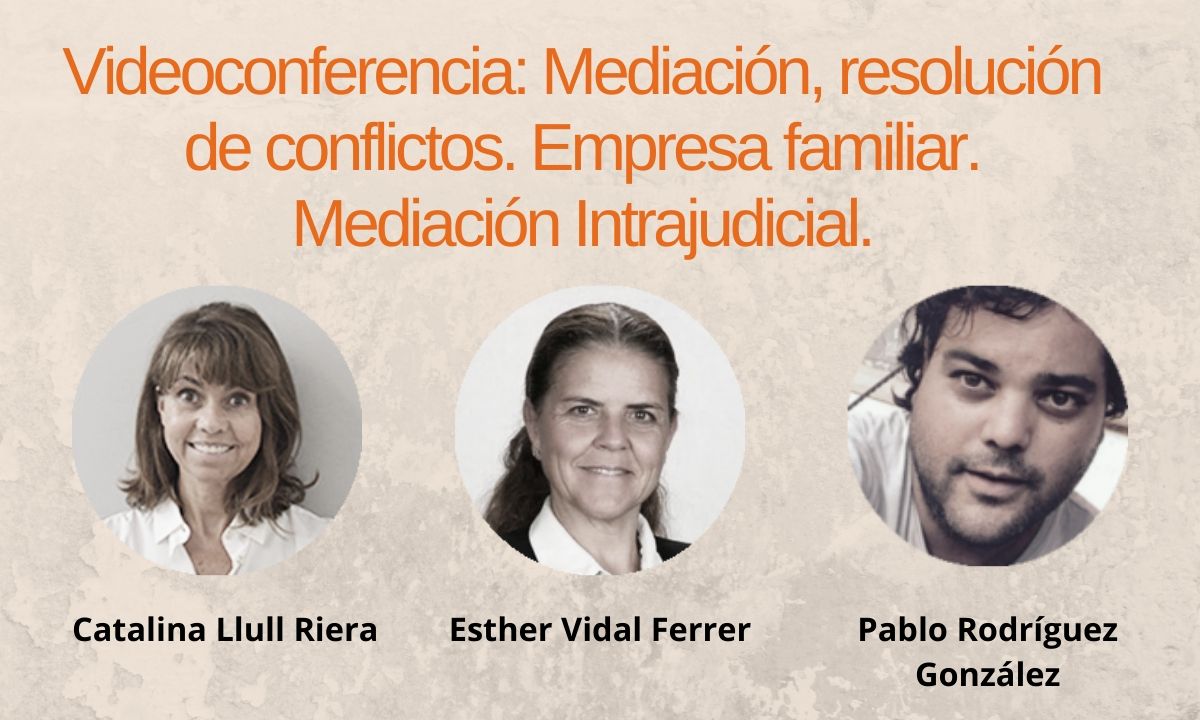 Videoconferencia sobre Mediación Civil, Mercantil y Concursal